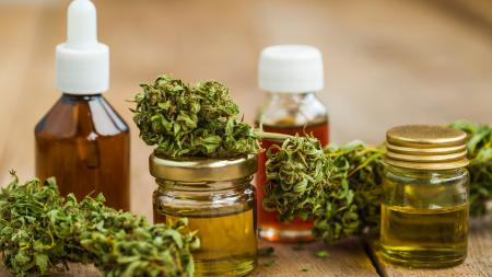 AloCBD la passion du CBD AloCBD la passion du CBD
